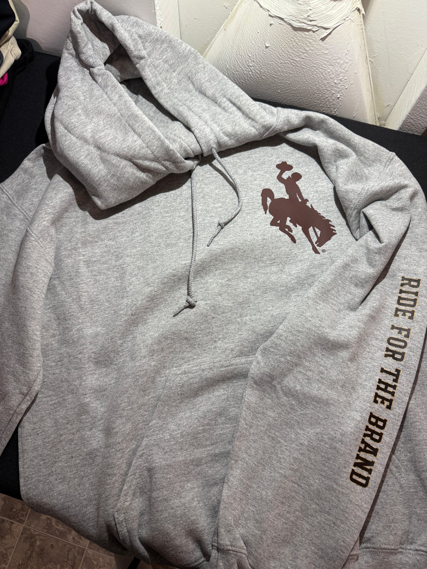 UW Hooded Sweatshirt