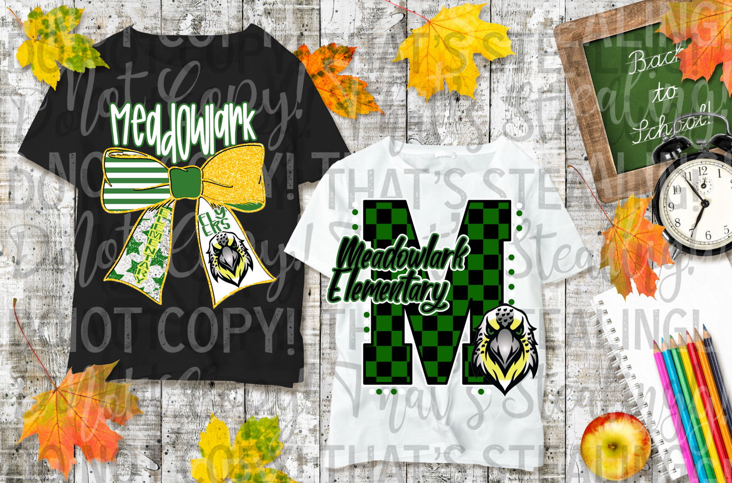 Meadowlark Flyers