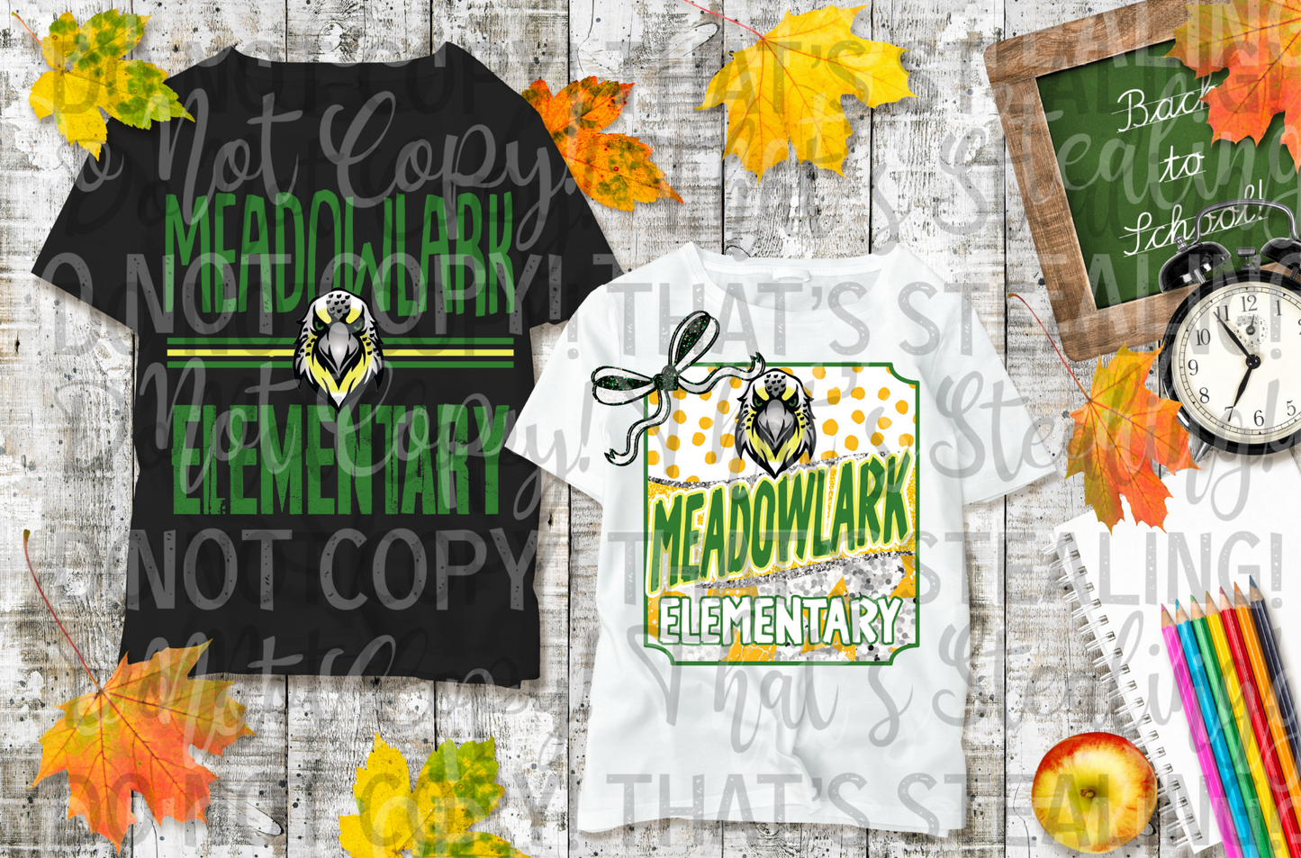 Meadowlark Flyers