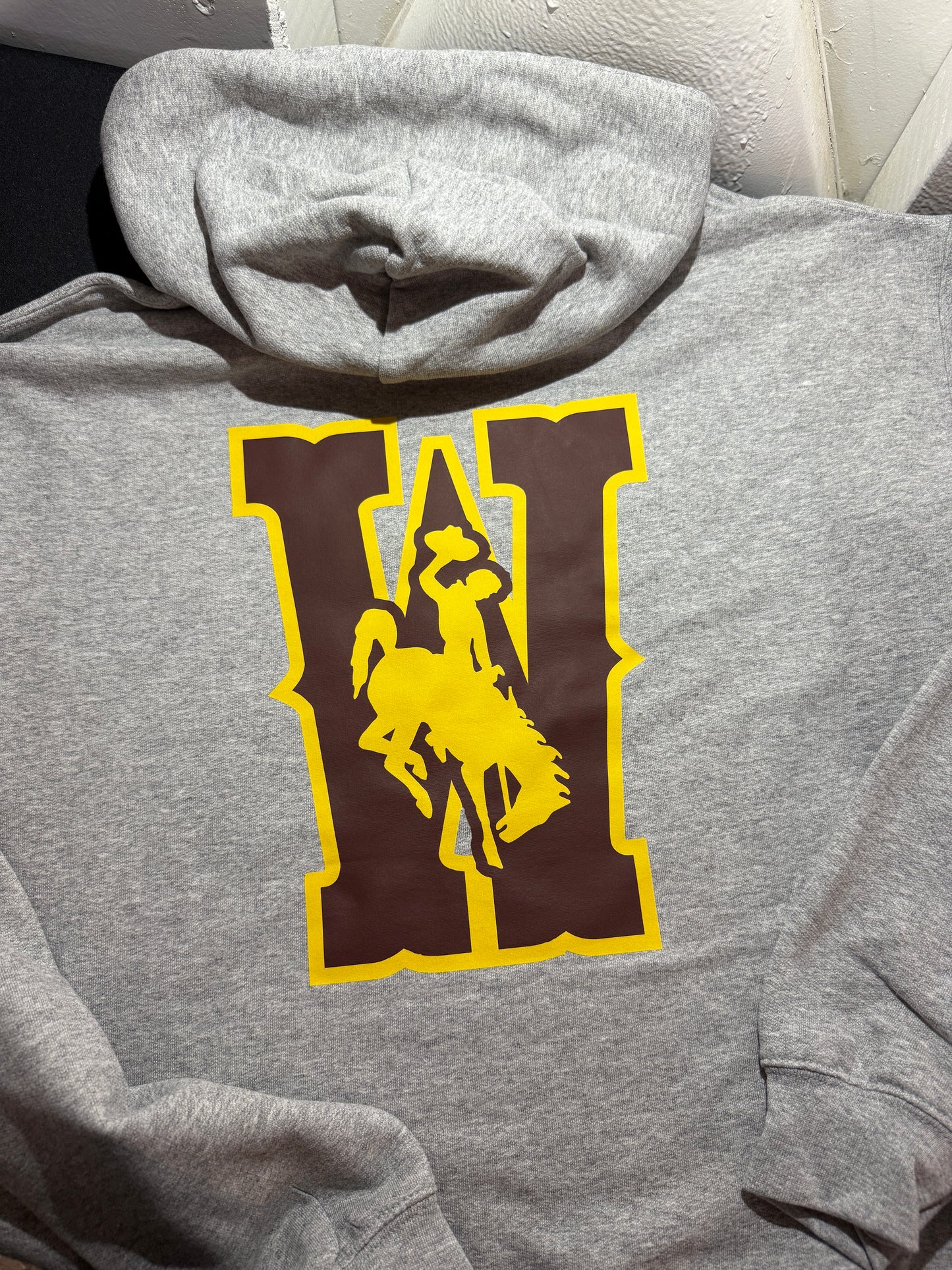 UW Hooded Sweatshirt