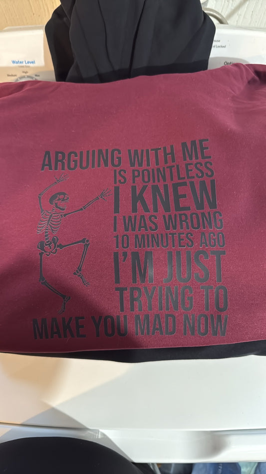 Arguing With Me Is Pointless